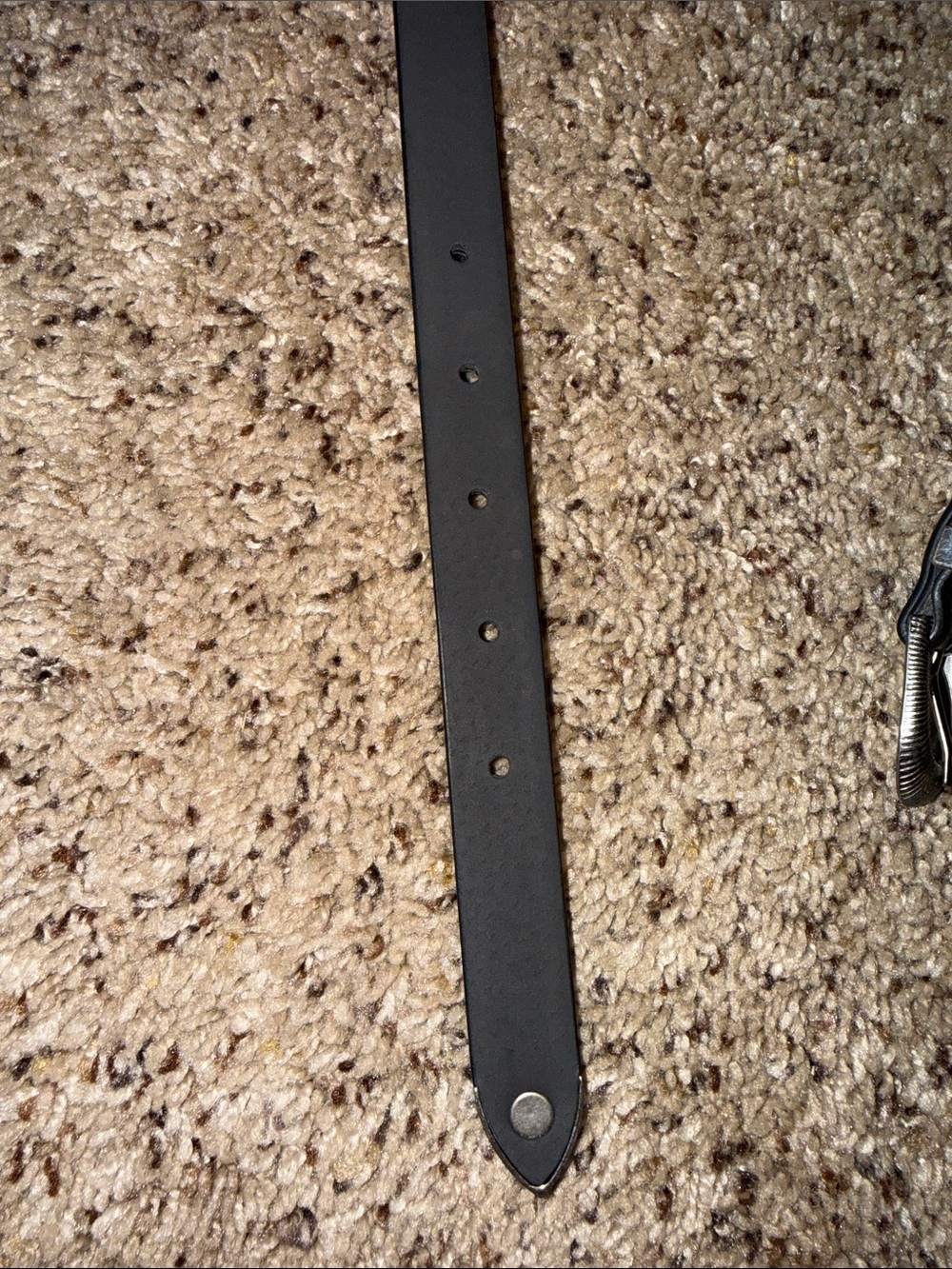 Black Leather Belt with Decorative Silver-Tone Buckle - Picture 4 of 5
